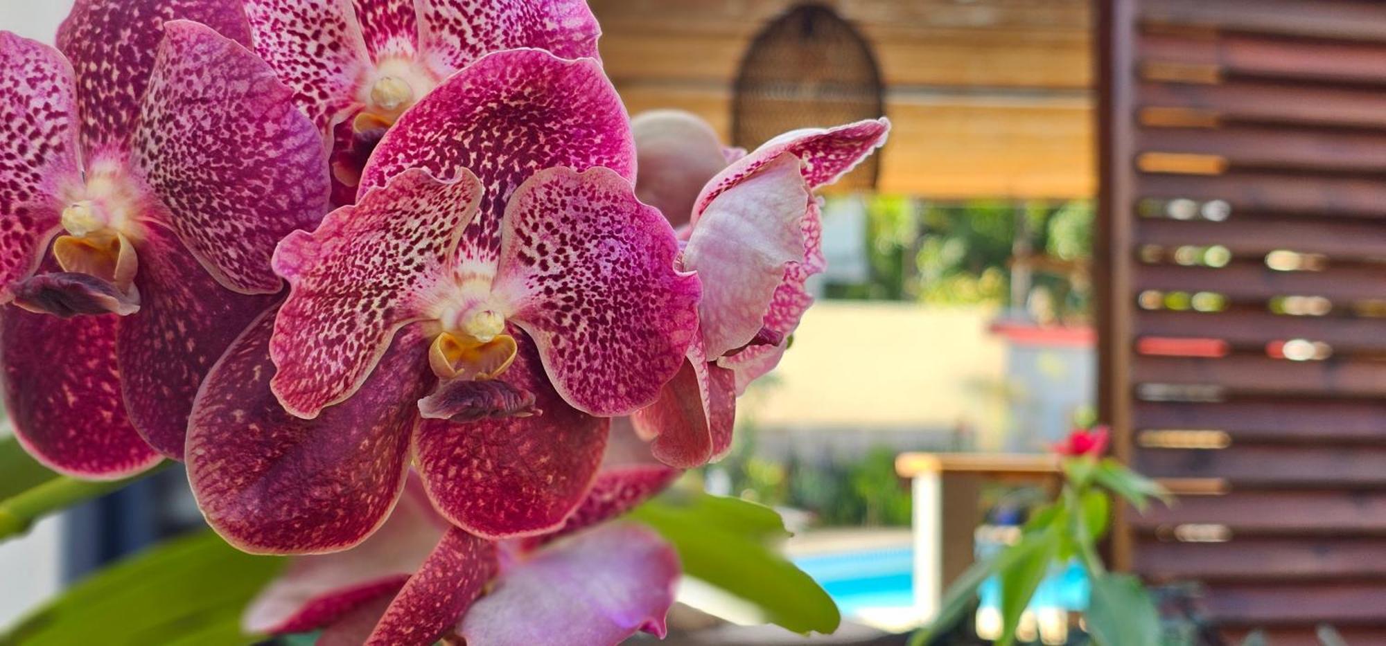 Ti Kaz Cheu Nous Villa Saint-Louis Ngoại thất bức ảnh